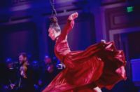 Troupe Vertigo: Cirque Carmen